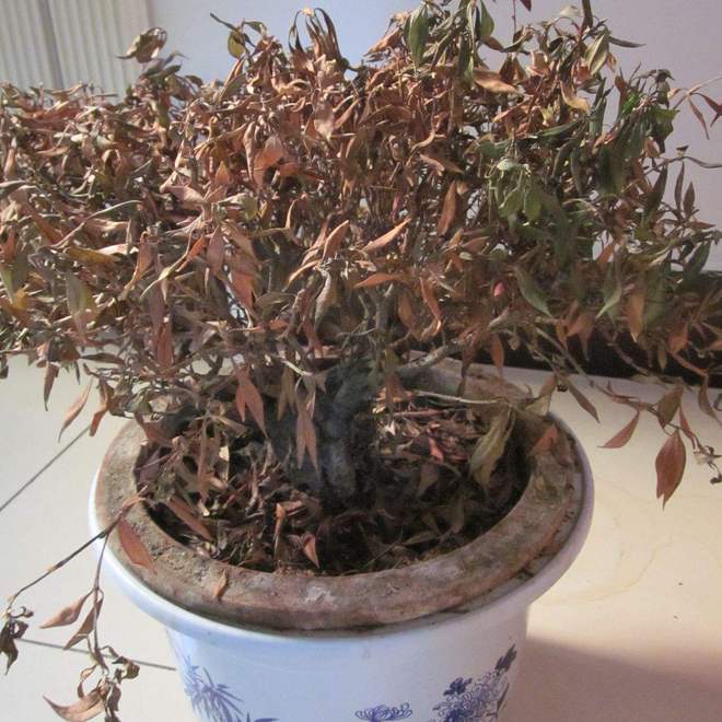 ”家里有这5种物品一定要尽早处理掉！k8凯发国际登录俗话说：“财不入脏屋